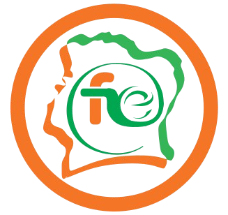 Logo officiel FNE — Facture Normalisée Électronique
